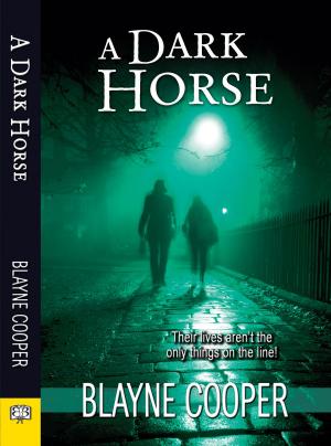 Cover of the book A Dark Horse by E. J. Noyes
