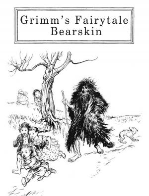 Cover of the book Bearskin by Bret Harte
