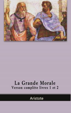 bigCover of the book La grande morale by 