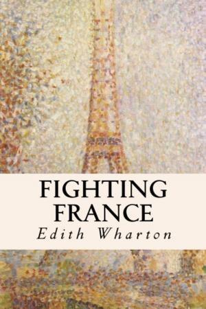 bigCover of the book Fighting France by 