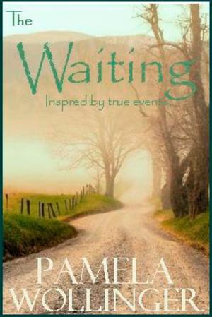 bigCover of the book The Waiting by 