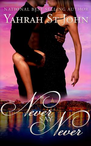 Cover of the book Never Say Never by Yahrah St. John