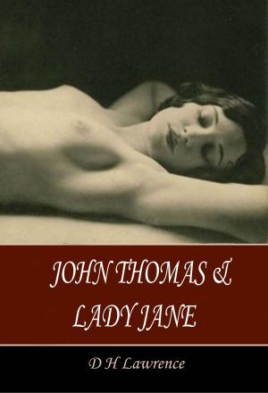 Book cover of John Thomas and Lady Jane