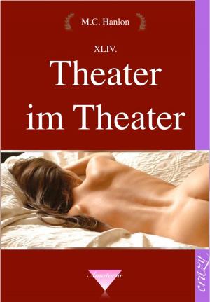 Book cover of Theater im Theater