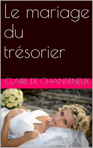 Cover of the book Le mariage du trésorier by Édouard Rod