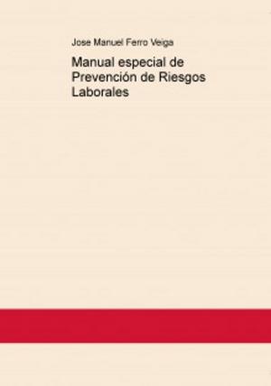 Book cover of Manual especial de Prevención de Riesgos Laborales