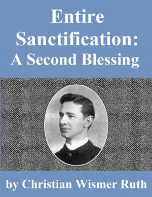 Cover of the book Entire Sanctification: A Second Blessing by David Matthews