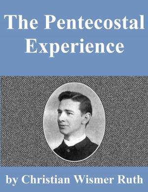 bigCover of the book The Pentecostal Experience by 
