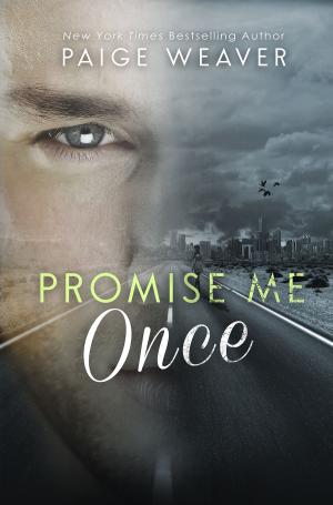 Cover of the book Promise Me Once by Tanja Kobasic