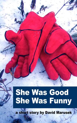 Book cover of She Was Good — She Was Funny