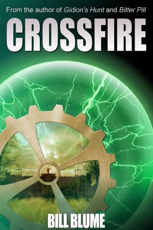 Cover of the book Crossfire by B. Heather Mantler