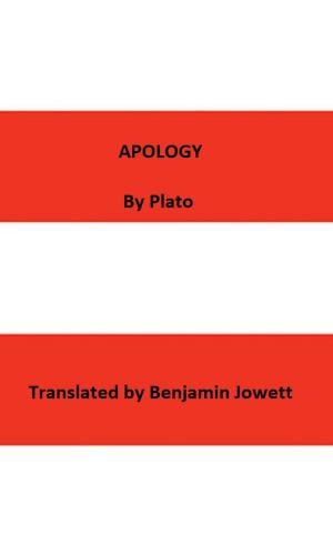 Cover of the book Apology by Michelle Areaux