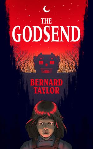Cover of the book The Godsend by W. Allen Mulholland