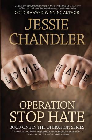 Cover of the book Operation Stop Hate: Book One in the Operation Series by James Hawk