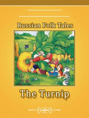Book cover of The Turnip