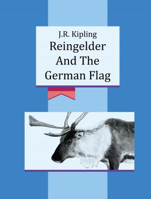 Cover of the book Reingelder And The German Flag by Emanuel Swedenborg