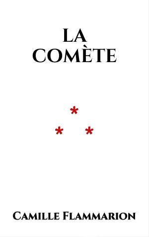 Book cover of La comète