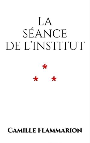 Cover of the book La séance de l’Institut by Chrétien de Troyes