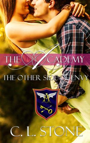 bigCover of the book The Academy - The Other Side of Envy by 