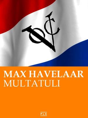 Cover of Max Havelaar. Nederlandse Editie