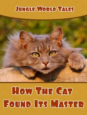 Cover of the book How The Cat Found Its Master by Russian Folk Tales