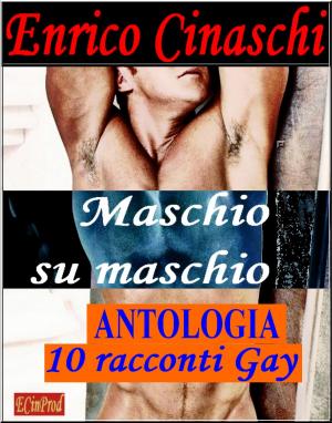 Cover of the book Maschio su maschio by Eden Savette