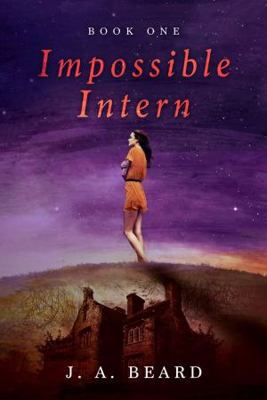 Book cover of Impossible Intern