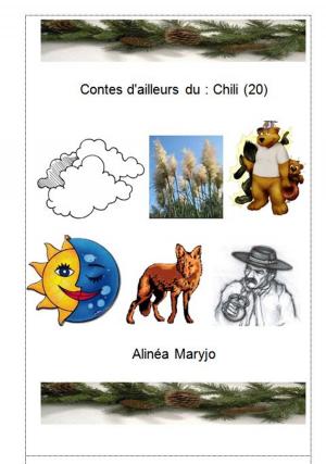 Cover of Contes d'ailleurs du : Chili (20)
