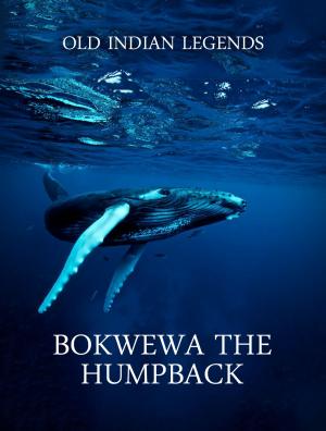 bigCover of the book Bokwewa the Humpback by 