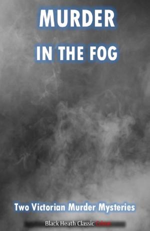 Cover of the book Murder in the Fog by M.T. Shivers
