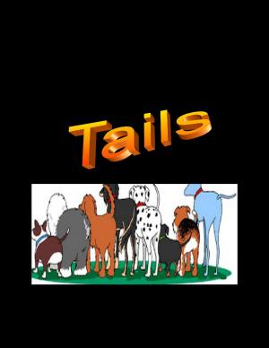 Cover of the book Tails by John Pedicini