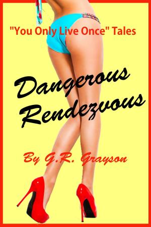 Book cover of Dangerous Rendezous