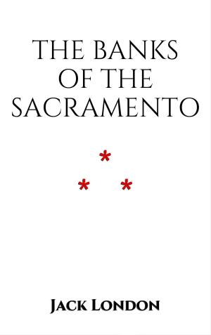 Cover of the book The Banks of the Sacramento by Brian O'Donnell.