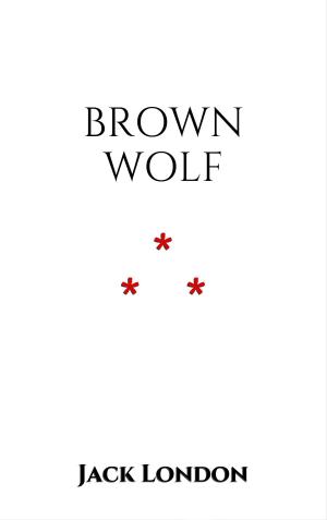 Cover of the book Brown Wolf by Andrew Lang