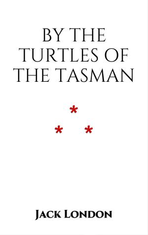 Cover of the book By the Turtles of the Tasman by Guy de Maupassant