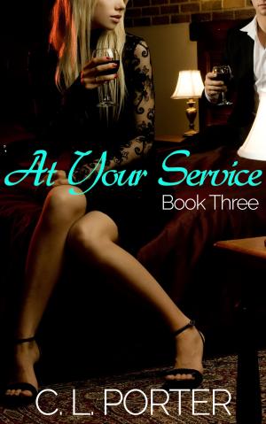 Cover of the book At Your Service - Book Three by Pattie Zamen