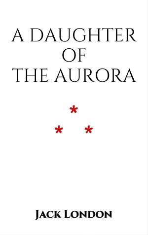 Cover of the book A Daughter of the Aurora by Amy Sanderson