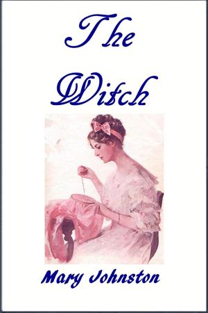Cover of the book The Witch by Robert Sydney Bowen