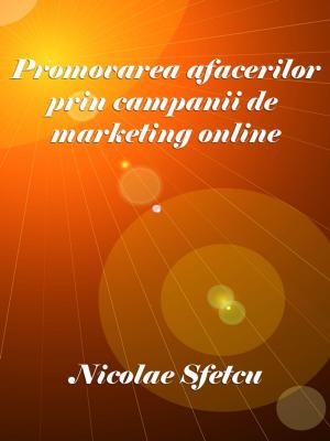 Cover of Promovarea afacerilor prin campanii de marketing online