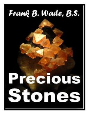 Cover of the book PRECIOUS STONES FOR JEWELERS and THE GEM-LOVING PUBLIC by Tyler Levi
