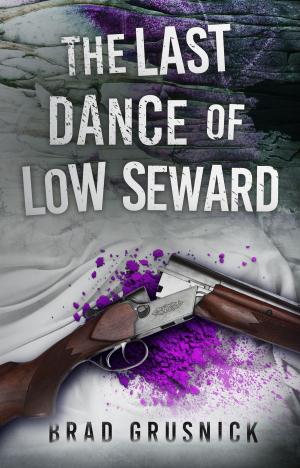 Cover of the book The Last Dance of Low Seward by Gérard de Villiers