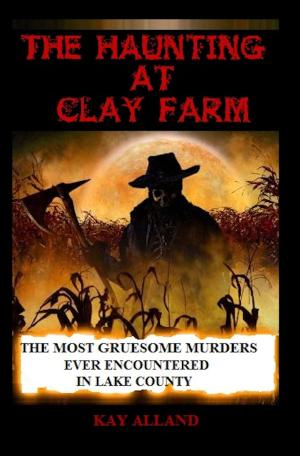 Cover of the book The Haunting At Clay Farm by Tom Frye