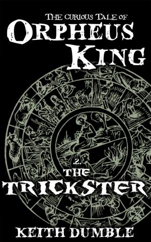 Cover of the book The Trickster by Joyce Dunbar