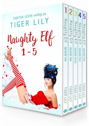 Cover of the book Naughty Elf - Complete Box Set (1-5) by Thang Nguyen
