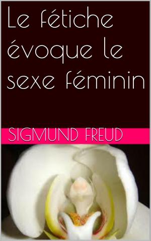 Cover of the book Le fétiche évoque le sexe féminin by Rodolphe Töpffer