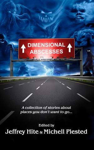 Cover of the book Dimensional Abscesses by Laurence Donaghy
