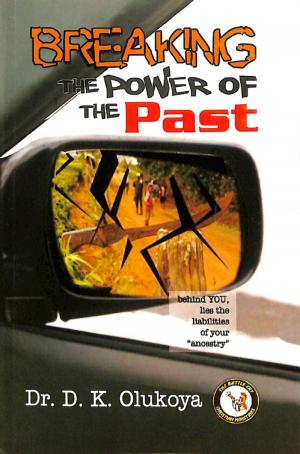 Cover of the book Breaking the power of the past by Dr. D. K. Olukoya