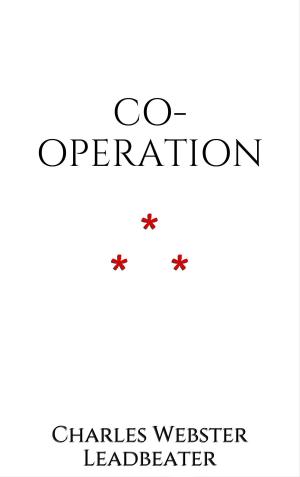 bigCover of the book Co-operation by 
