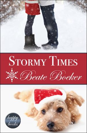 Book cover of Stormy Times