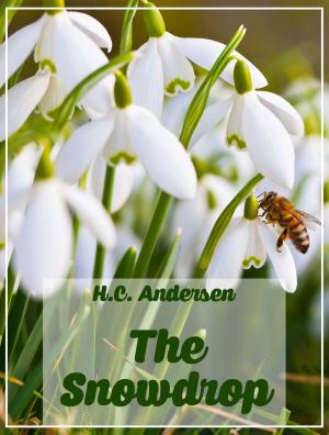 Cover of the book The Snowdrop by J. F. Campbell